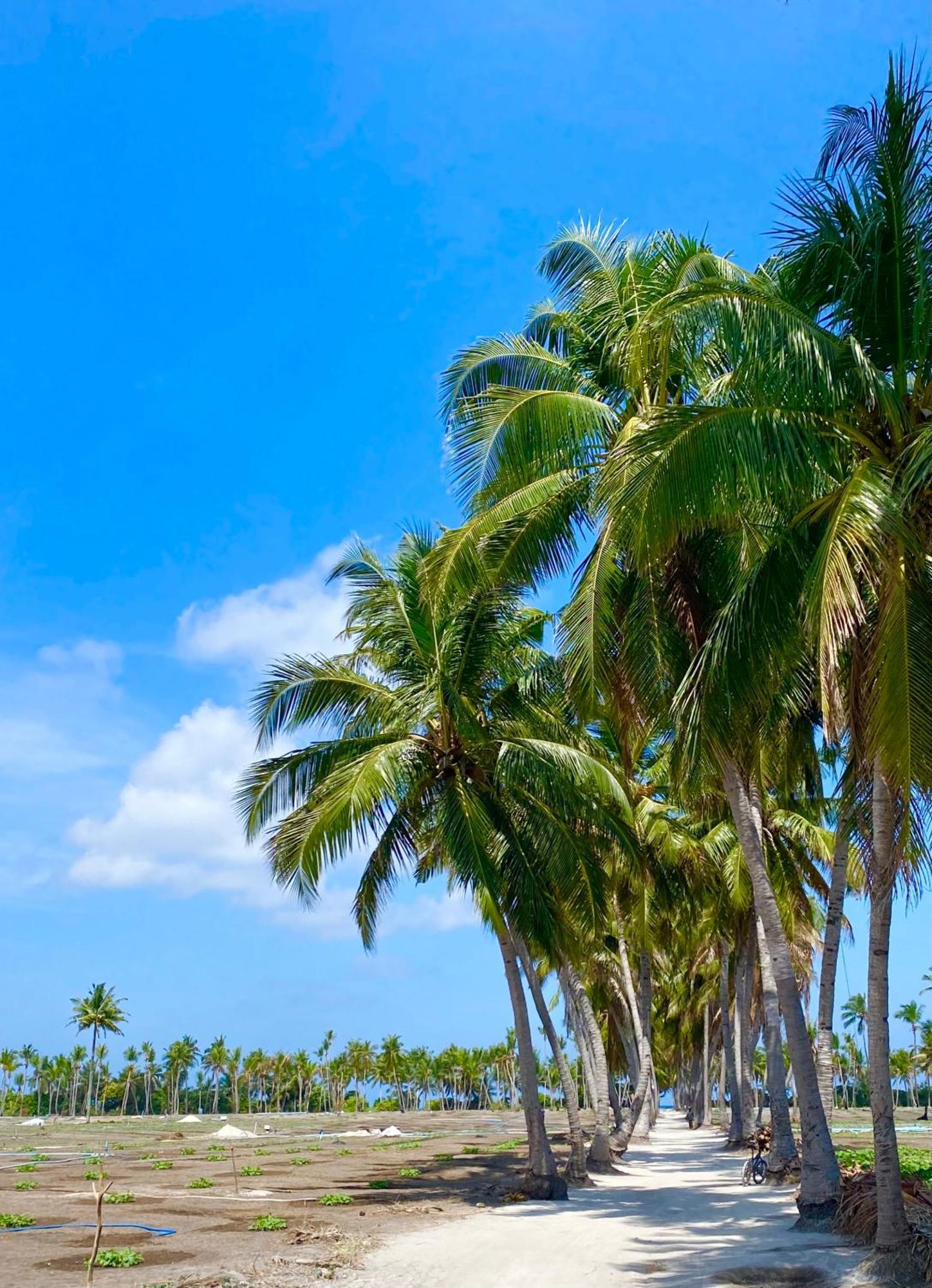 Sorenzo Maldives 토두 외부 사진